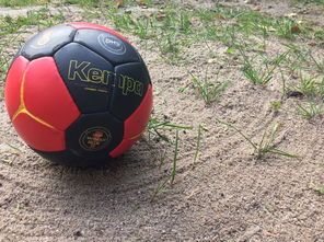 开云体育官网在线-“沙滩赛场燃爆天府新区，沙滩手球和合球上演极限对决”